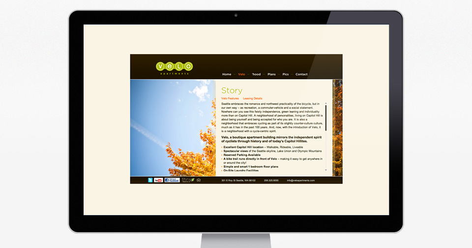 Website
